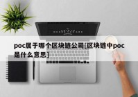 poc属于哪个区块链公司[区块链中poc是什么意思]